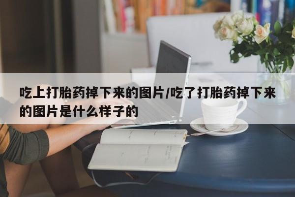 米非司酮片微信下单联系方式吃上打胎药掉下来的图片/吃了打胎药掉下来的图片是什么样子的